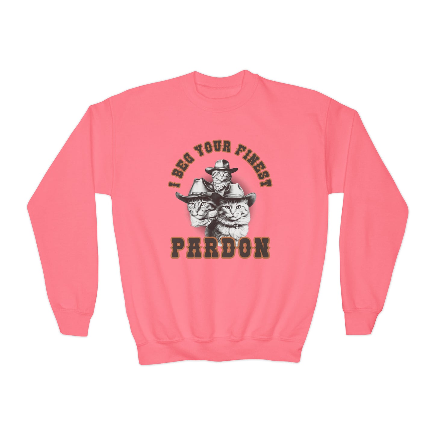 I Beg Your Finest Pardon - Youth Crewneck Sweatshirt