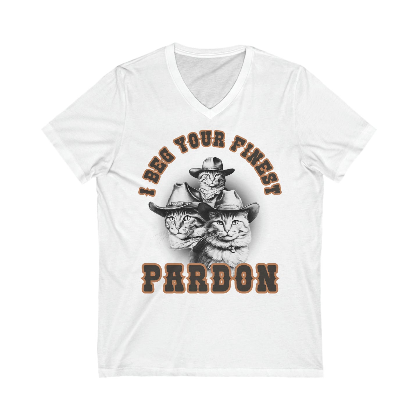 I Beg Your Finest Pardon - Unisex Jersey Short Sleeve V-Neck Tee