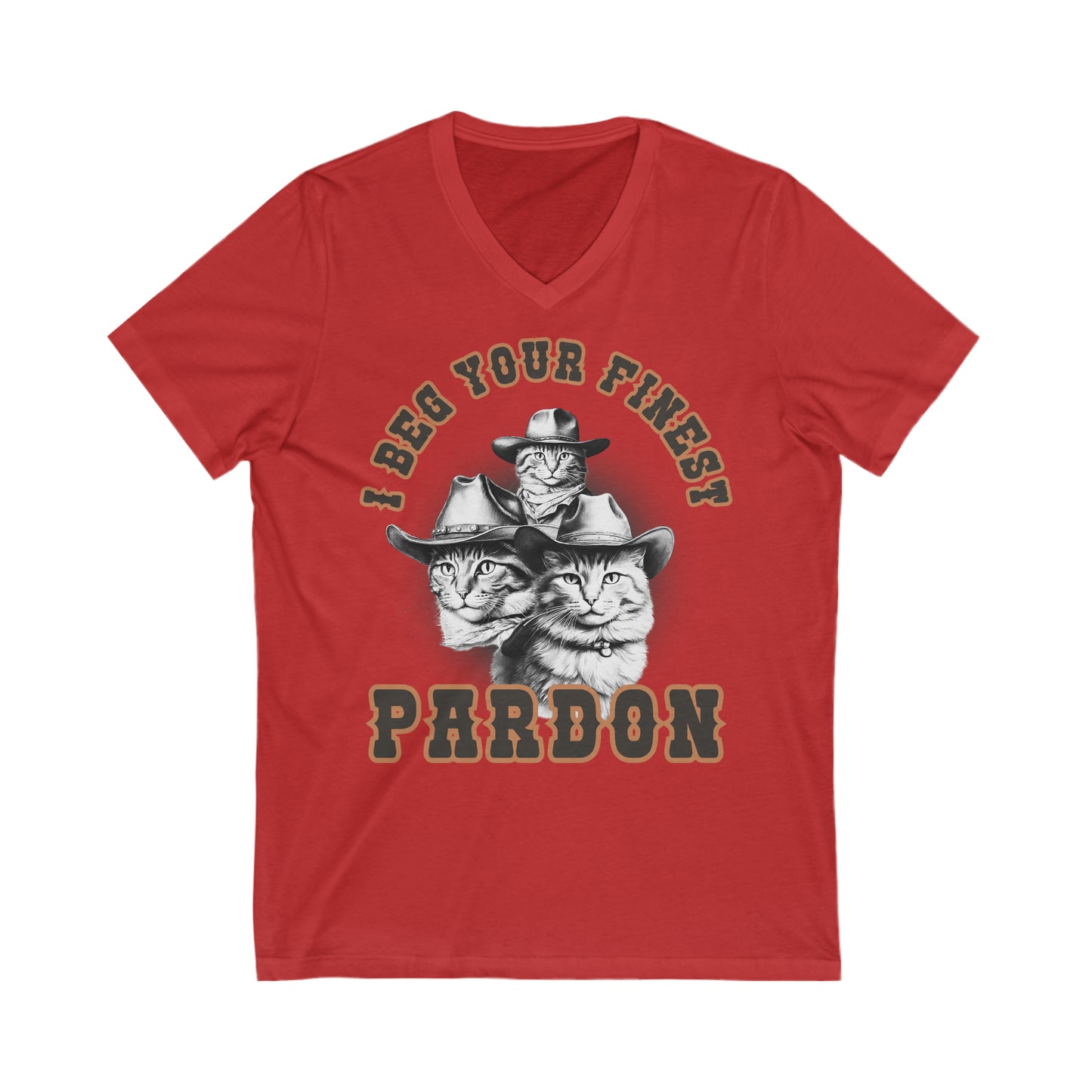 I Beg Your Finest Pardon - Unisex Jersey Short Sleeve V-Neck Tee