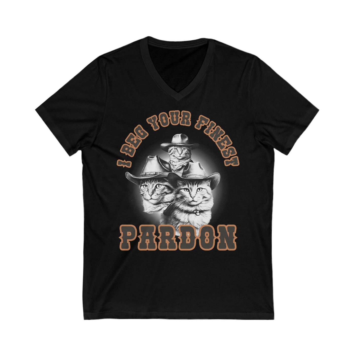 I Beg Your Finest Pardon - Unisex Jersey Short Sleeve V-Neck Tee